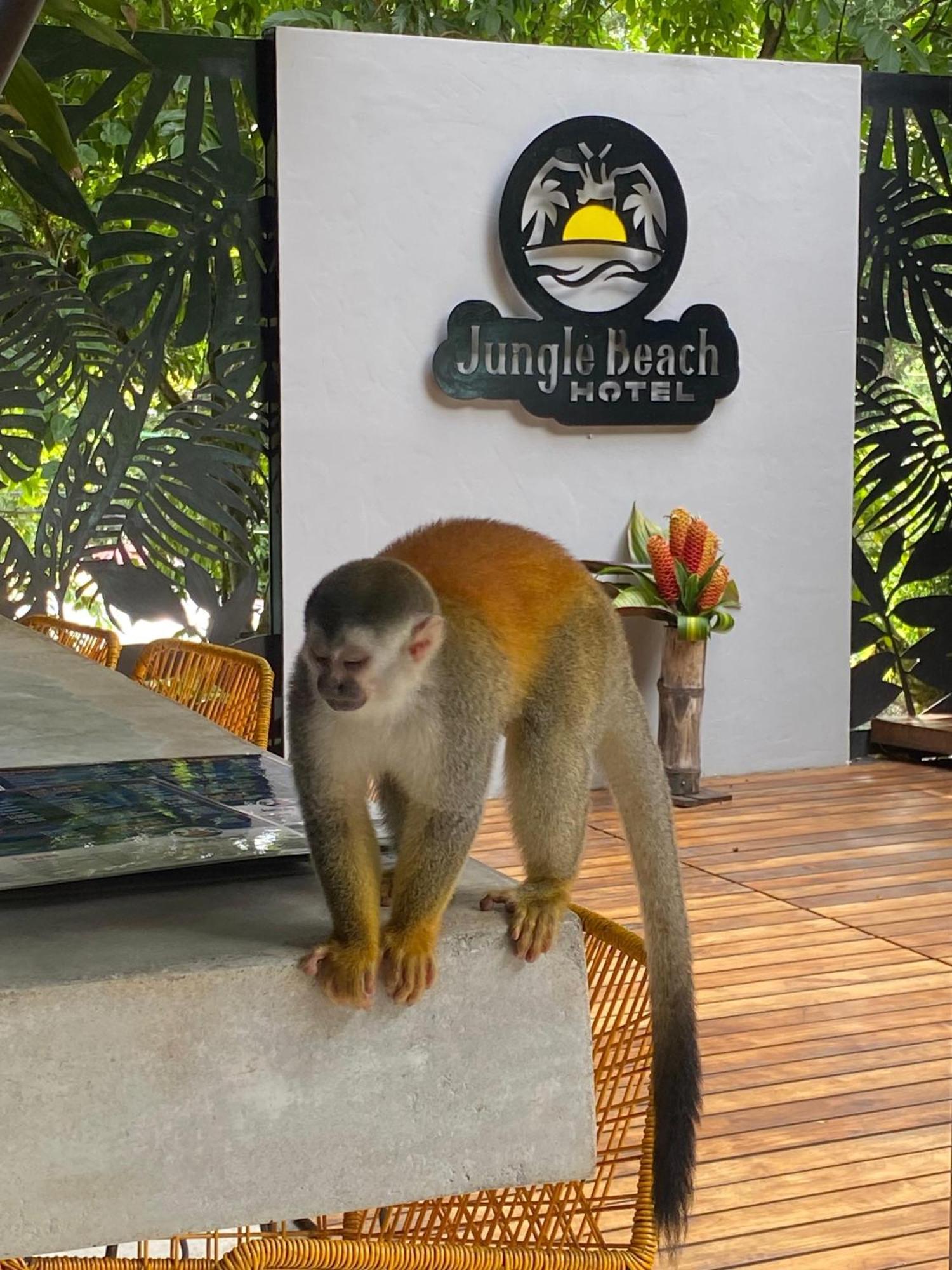 Jungle Beach Hotel Manuel Antonio Zewnętrze zdjęcie